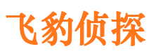 平原捉小三公司